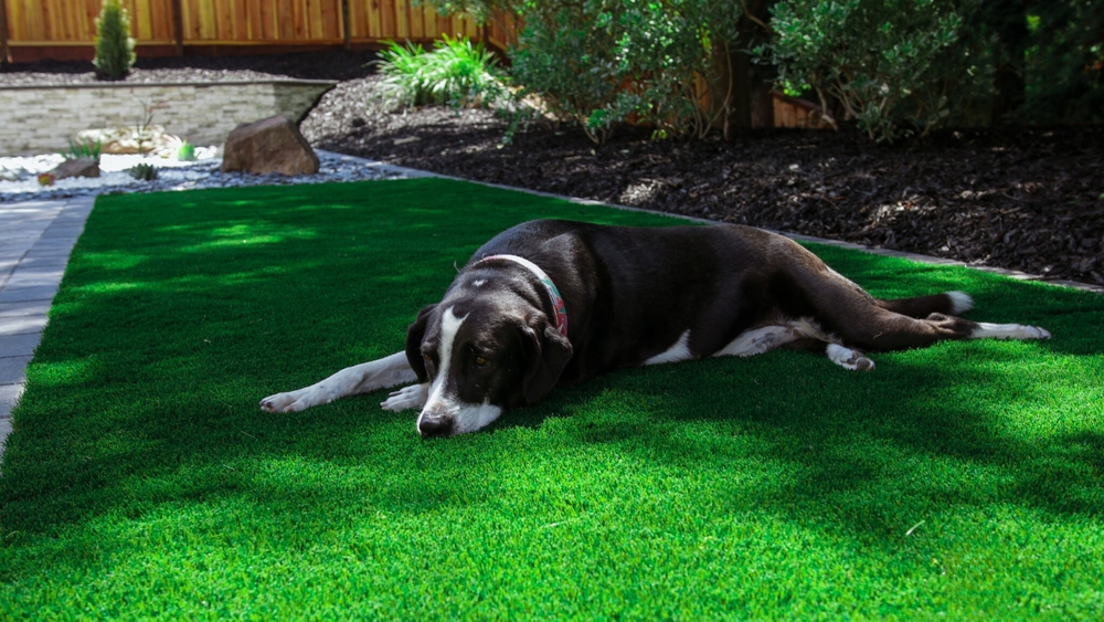 Artificial Turf
