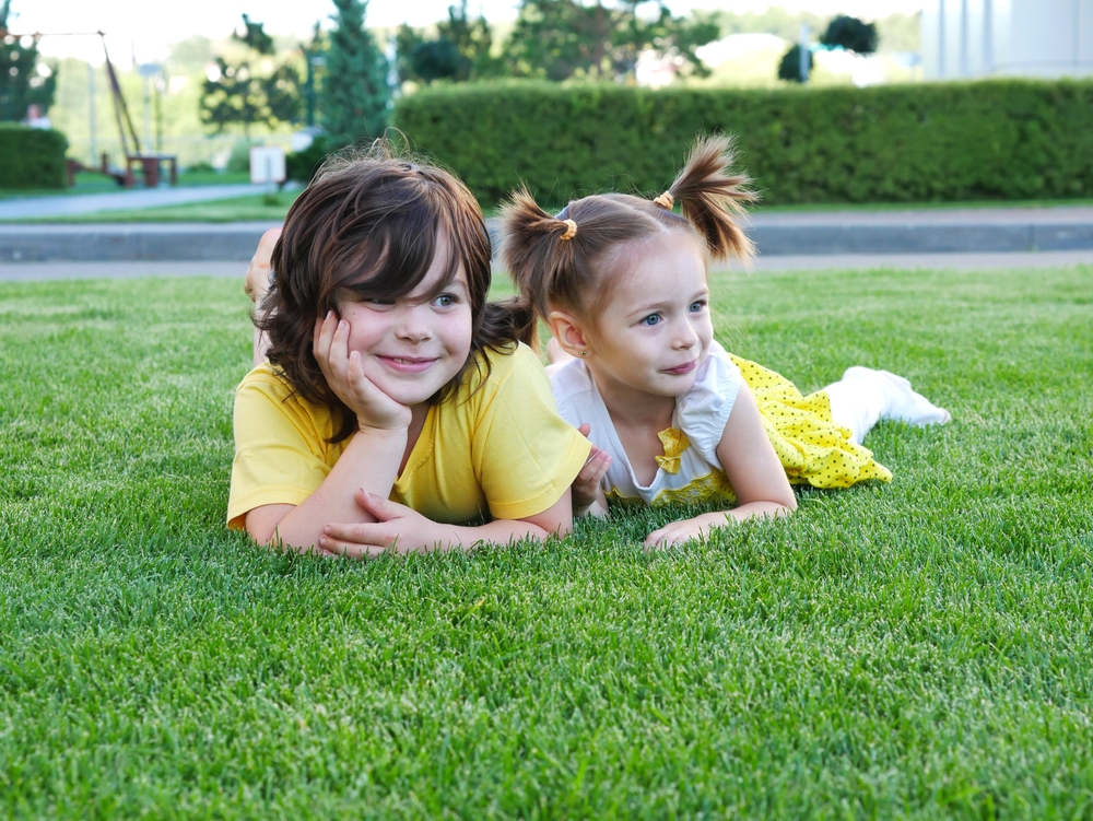Artificial Turf